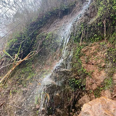 Kabak Hideway 1 Vilă *